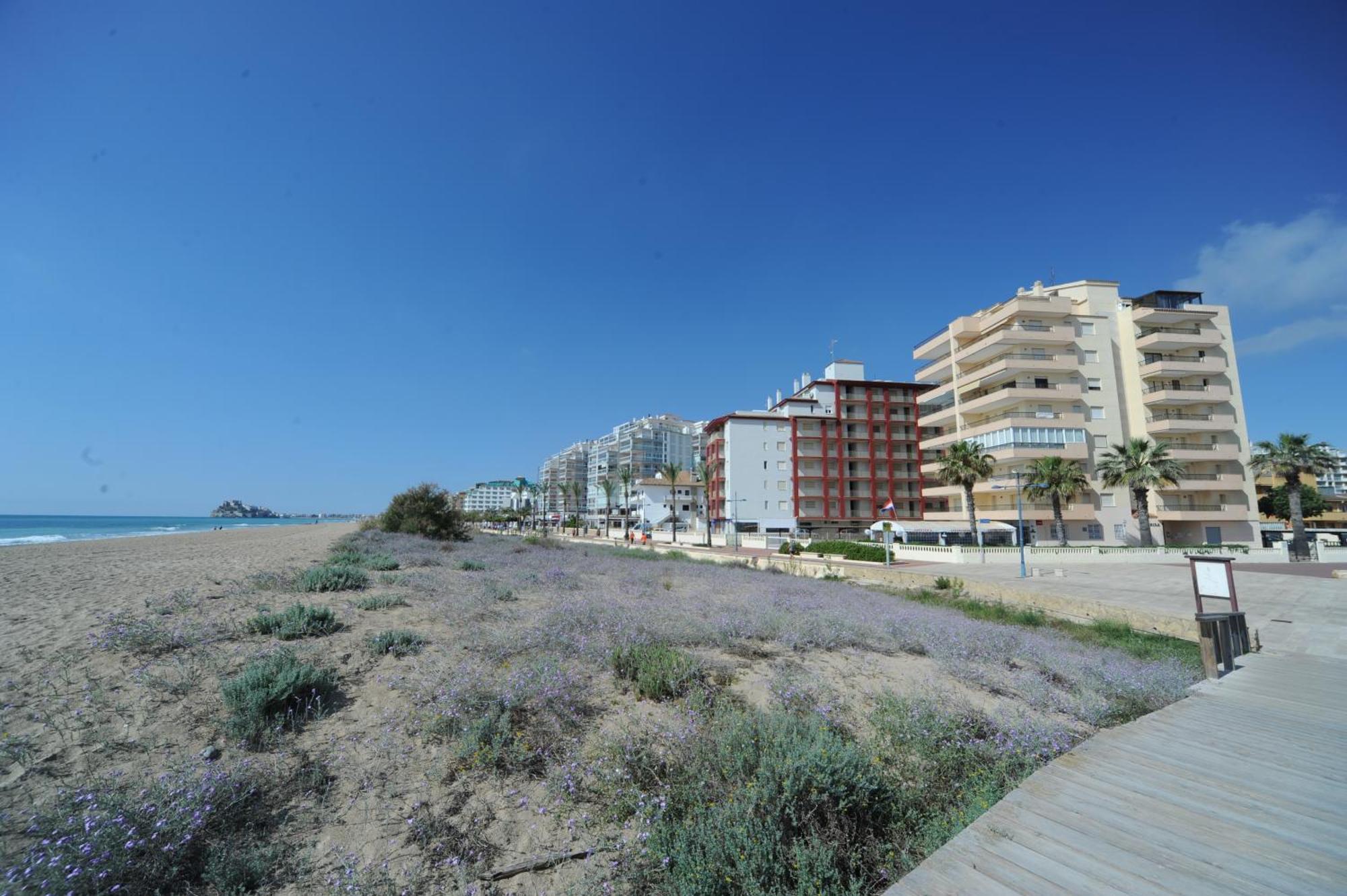 Ferienwohnung Marina Vistamar Orangecosta Peñíscola Exterior foto