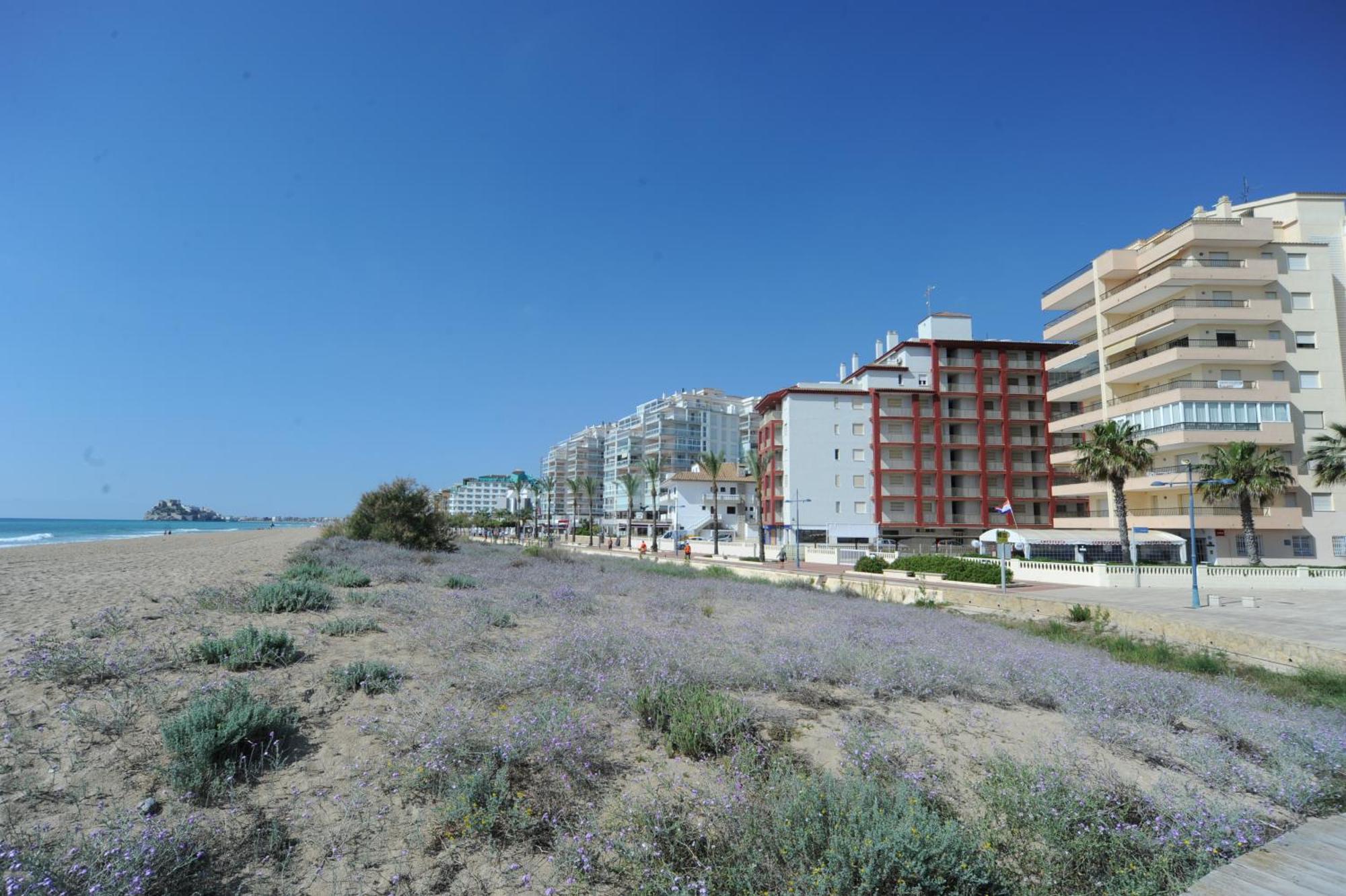 Ferienwohnung Marina Vistamar Orangecosta Peñíscola Exterior foto